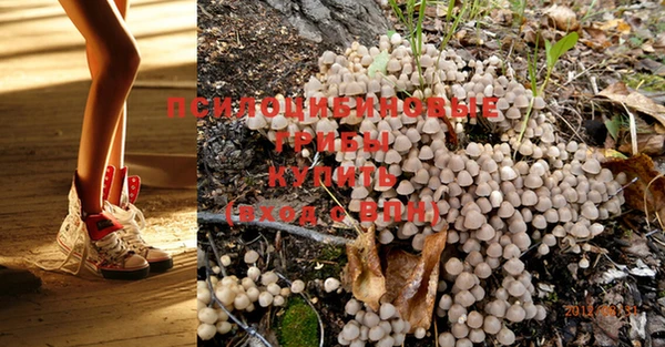 MESCALINE Мегион