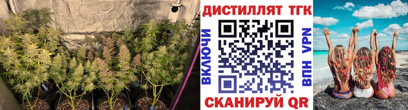Дистиллят ТГК жижа Дигора