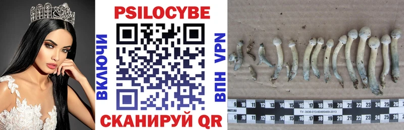 как найти закладки гидра сайт Псилоцибиновые грибы прущие грибы Дигора